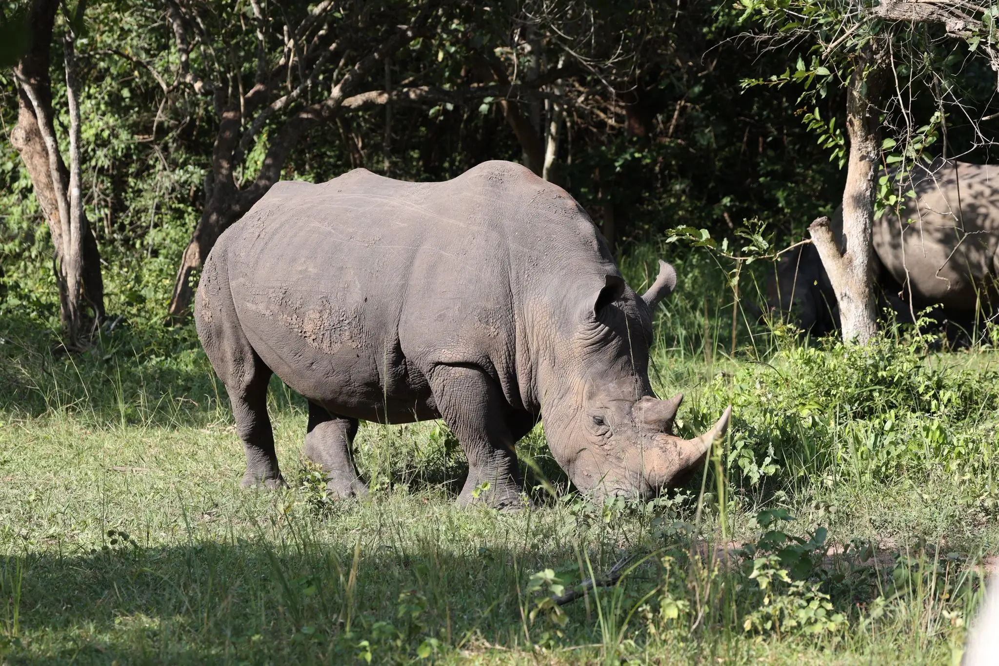 Kibale National Park